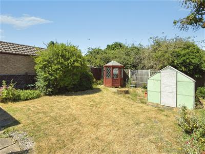 Picture 15